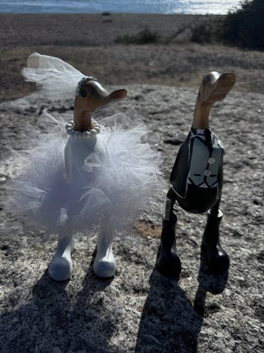 Stunning bride and groom - bride,
