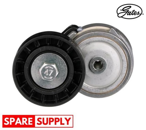 Tensioner pulley ribbed - pulley,, v-ribbed