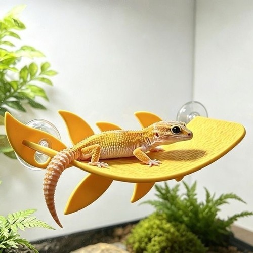 Lizard reptile resting terrace - reptile,
