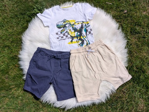 Boys next nutmeg dinosaur - &,