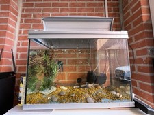 Fish Tank With Led light, guppies and Accessories