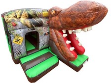 Commercial 16x12ft 3D Dinosaur