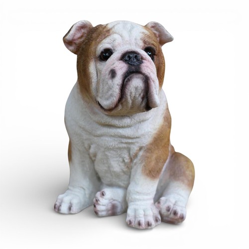 English bulldog sitting - english,
