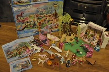 Playmobil Fairy set and Royal