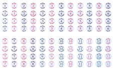 ACCLAIM Rink Balloting Discs 8
