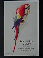 Bird Theme RED & BLUE MACAW c1920s Postcard by Caperns Parrot Food