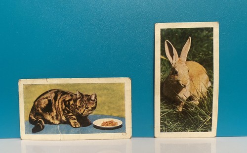 Hornimans tea cards 1961 - hornimans,