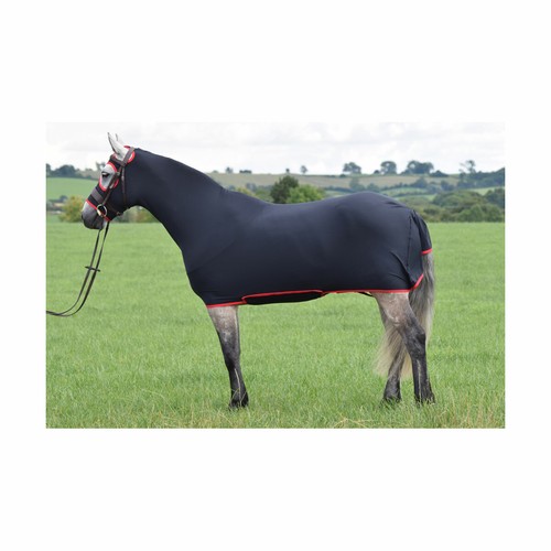Belvoir rug company honsie - belvoir,