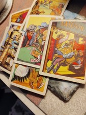 Sk271 trade gum Anglo Wild