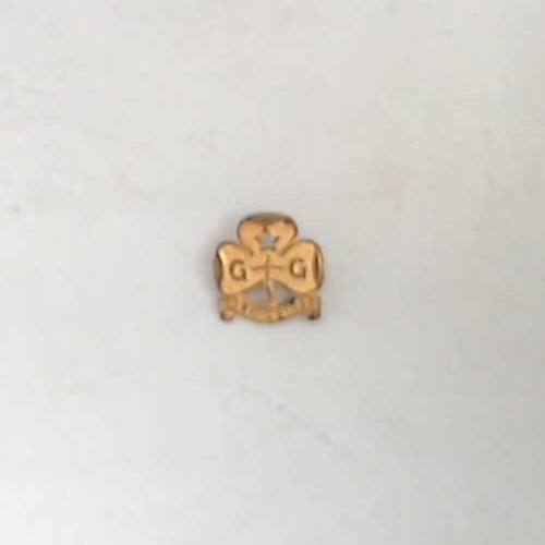 Girl guides promise badge - guides,