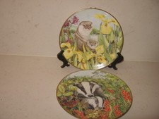 2 x  WILDLIFE OF BRITISH COUNTRYSIDE   PLATES   - BADGER & OTTER - ROYAL KENDALL