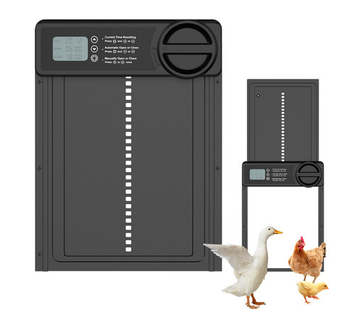 Auto chicken door - chicken, automatic