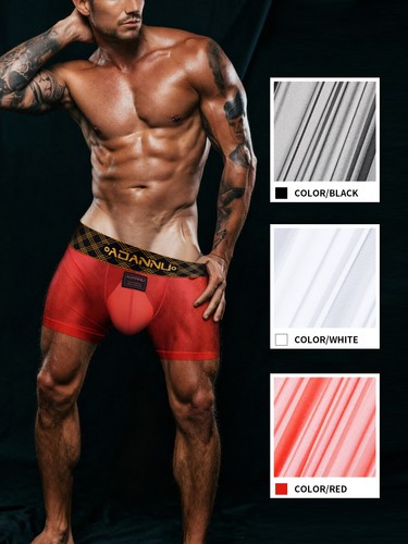 Men sheer mesh boxer - men,