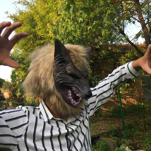Werewolf halloween mask latex - werewolf,