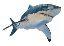 Shark Magnet - Great White Sharks - Great White Shark-Jaws Shark Magnets -OC10-J