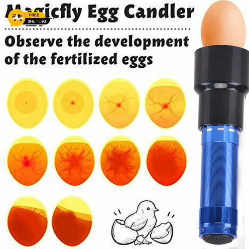 Egg candler tester led - candler, 9