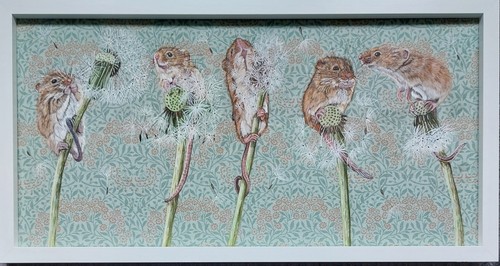 Original wild harvest mouse - wild,