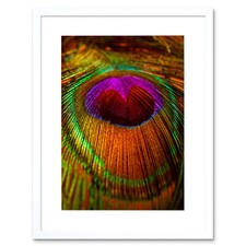 Photo Composition Macro Close Up Peacock Feather Framed Print 12x16 Inch