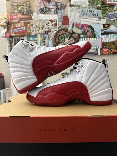 Air jordan retro - jordan, 12