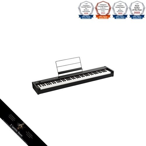 Korg digital piano - piano, keys