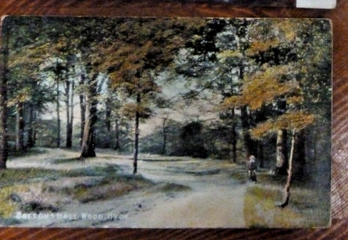Postcard bottom hall wood - bottom's,