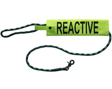 Nervous reactive dog lead - nervous,