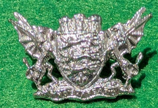 Obsolete police collar badge -