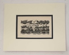 TUNNICLIFFE 'True Prophet'