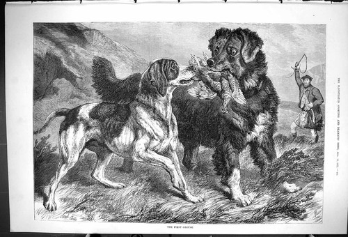 Antique print 1875 first - antique,