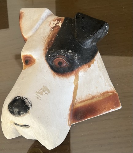 Wire fox terrier - fox,