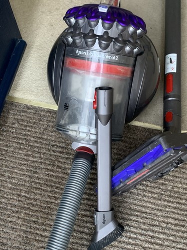 Dyson big ball animal - dyson,