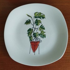 Midwinter Plant Life - style