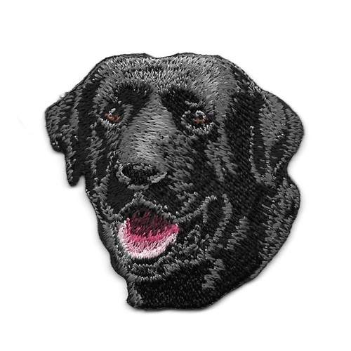 Black labrador retriever dog - black,