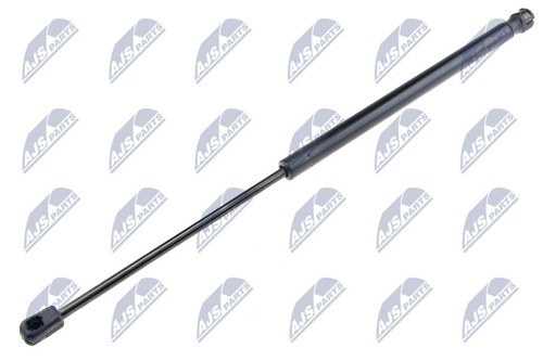 Nty 001 gas spring - gas,