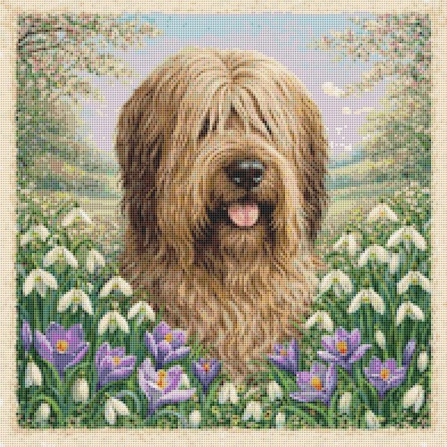 Briard puppy dog - puppy,