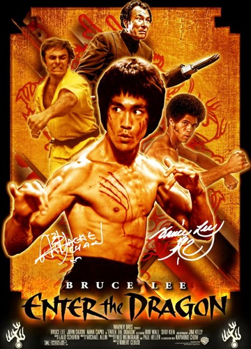 Movie poster enter the - poster,