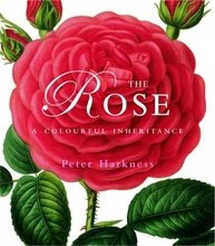 Rose colourful inheritance - colourful,
