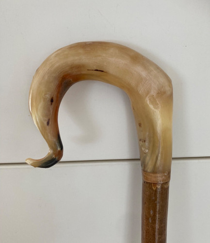 Rams horn crook handle - , stick