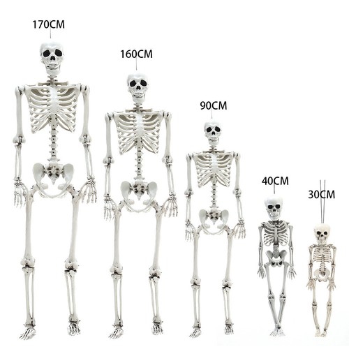 Halloween real life - real, human