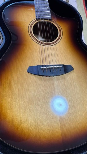Beautiful breedlove artista - breedlove,