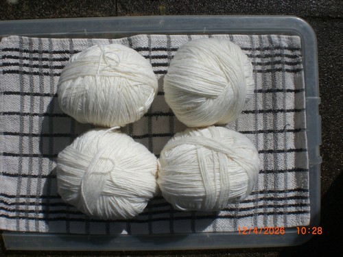 Wool off dorset horn natural - wool,