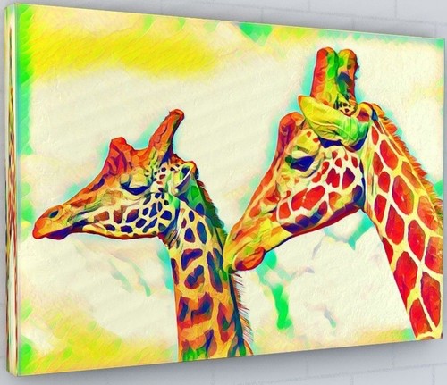 Stunning giraffes canvas - giraffes,