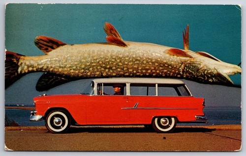 Exaggerated northern pike - exaggerated,