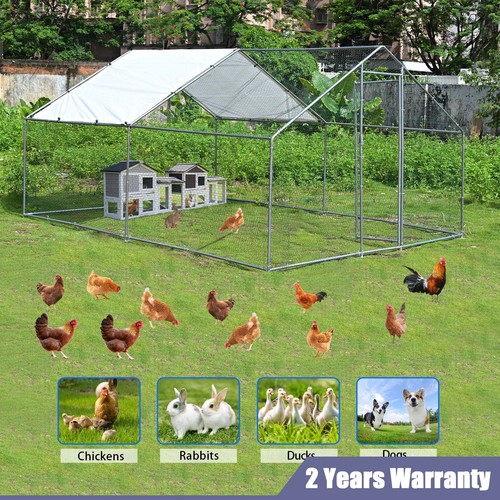 13x10ft large walk - 13x10ft, chicken