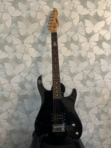 Peavey raptor plus - peavey,