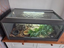 Full Vivarium Setup. Heat Mat, Thermostat, Lights and  loads of extras