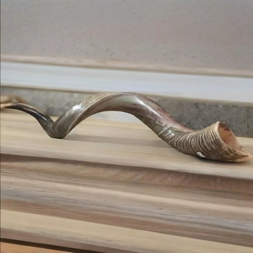 Half polished natural judaica - polished,