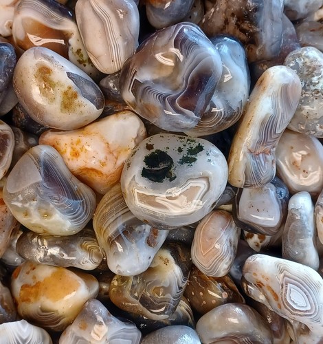 Botswana agate rough a - botswana,