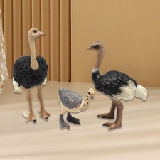 3Pcs Animal Bird Model