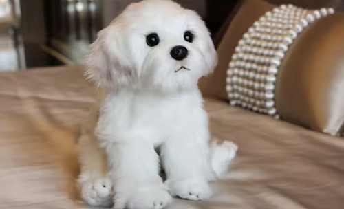Sitting maltese stuffed dog - stuffed,